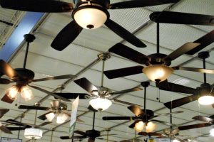 Ceiling fans show room | Featured image for Are Ceiling Fans Energy Efficient blog for Latched Electrical Solutions.